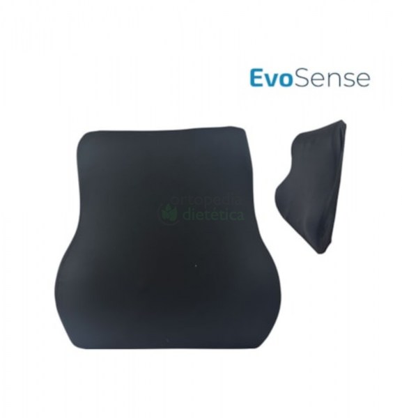 Evoluxion Almofada Evosense Lombar Premium | EcoSense